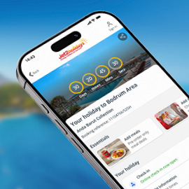 Airports,flights and luggage